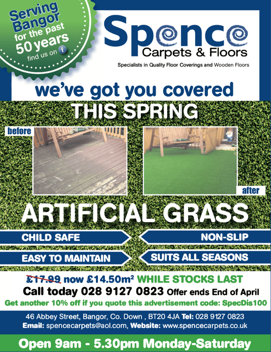 Artificial Grass Bangor